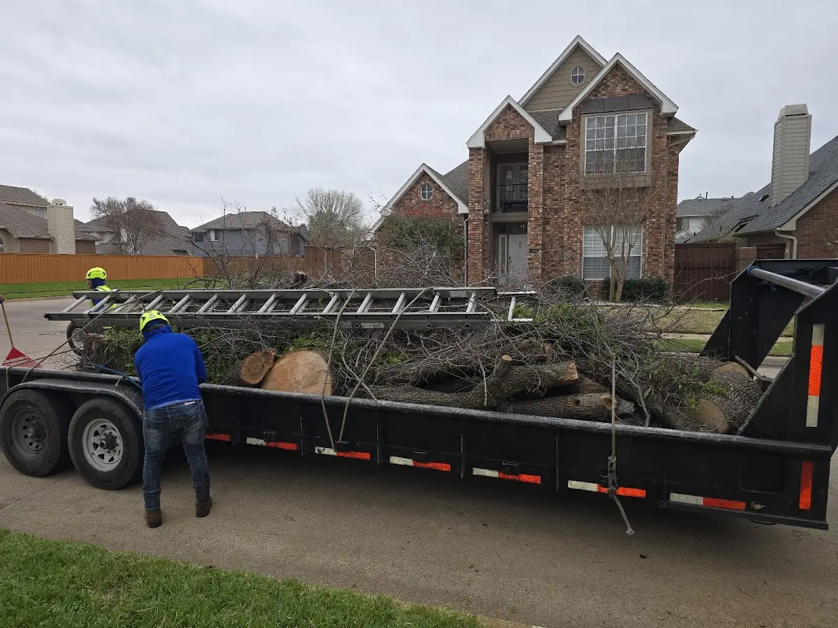 Expert Tree Fertilization with proper safety equipment in Mount Vernon